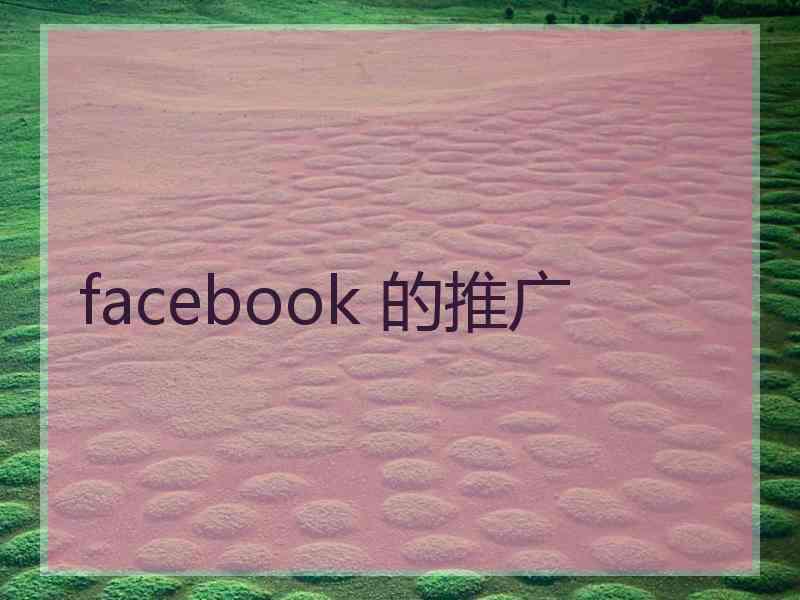 facebook 的推广