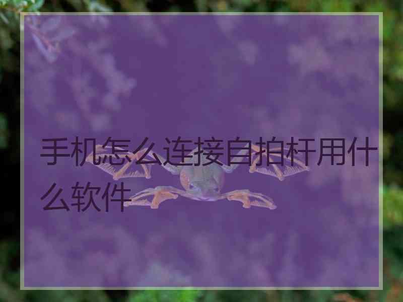 手机怎么连接自拍杆用什么软件