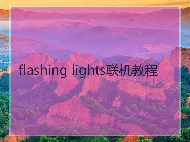 flashing lights联机教程