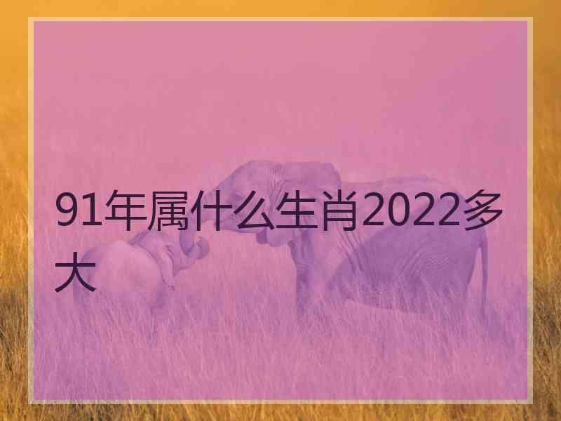 91年属什么生肖2022多大