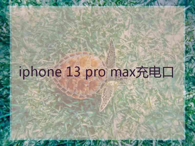 iphone 13 pro max充电口