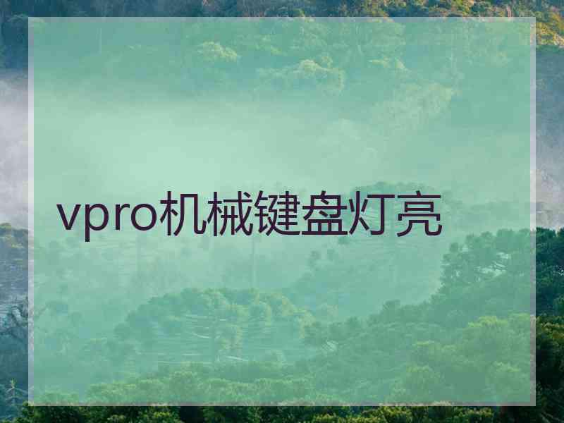 vpro机械键盘灯亮