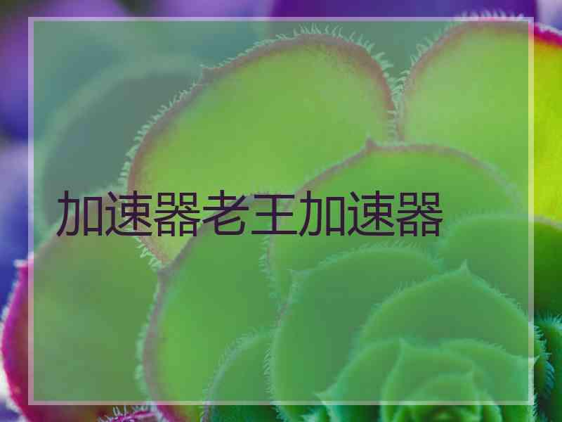 加速器老王加速器