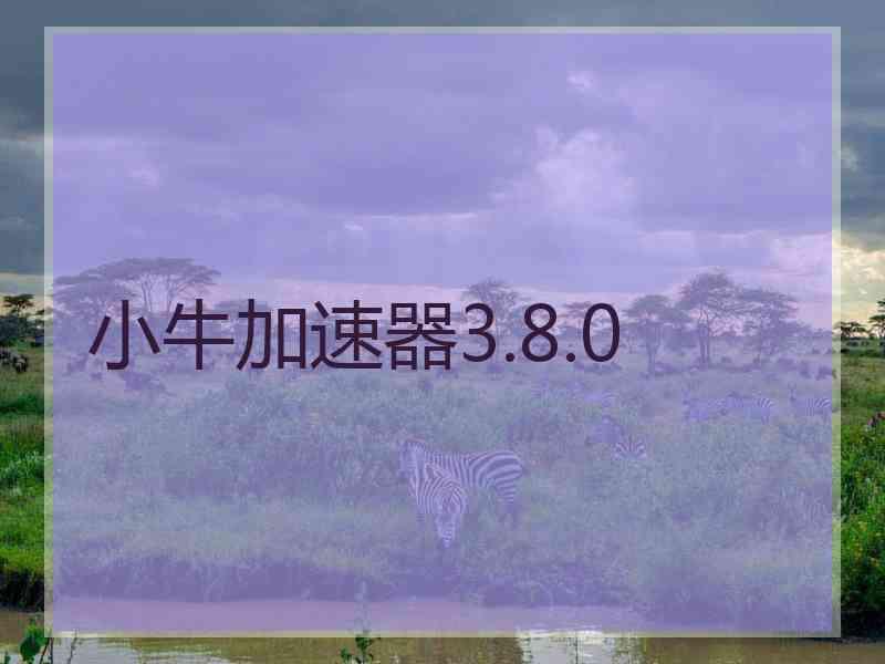 小牛加速器3.8.0