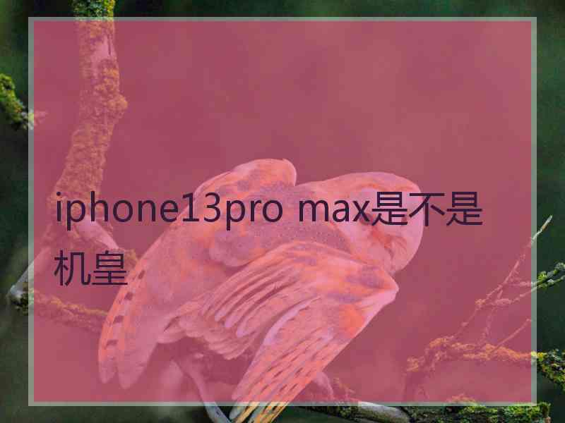 iphone13pro max是不是机皇