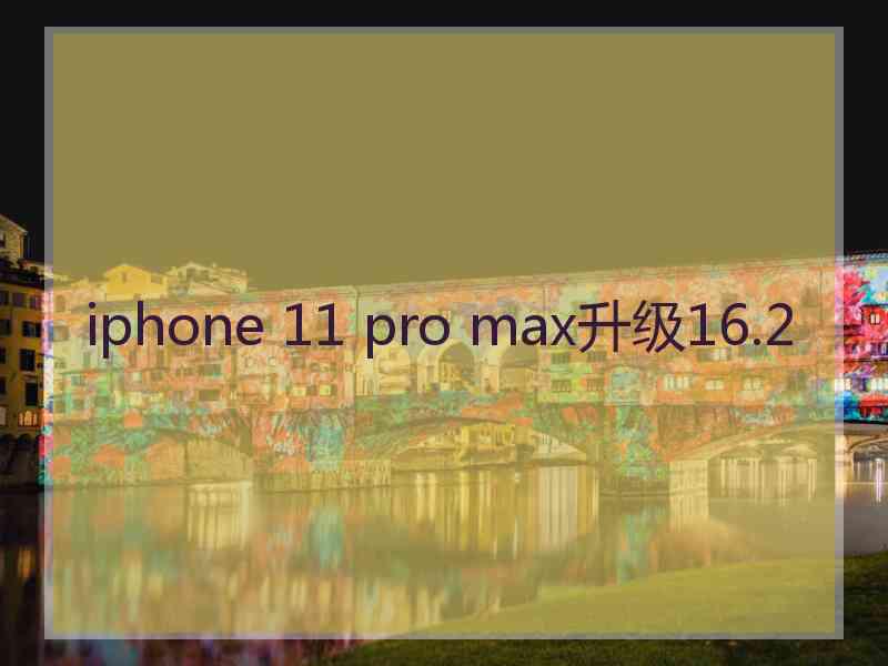 iphone 11 pro max升级16.2