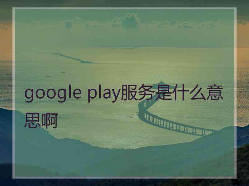 google play服务是什么意思啊