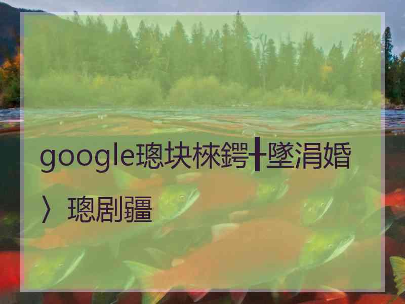 google璁块棶鍔╂墜涓婚〉璁剧疆