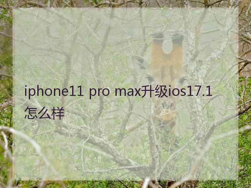 iphone11 pro max升级ios17.1怎么样