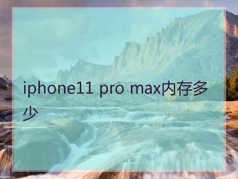 iphone11 pro max内存多少