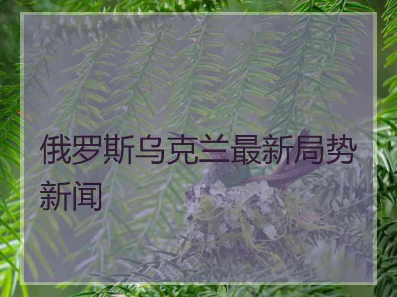 俄罗斯乌克兰最新局势新闻