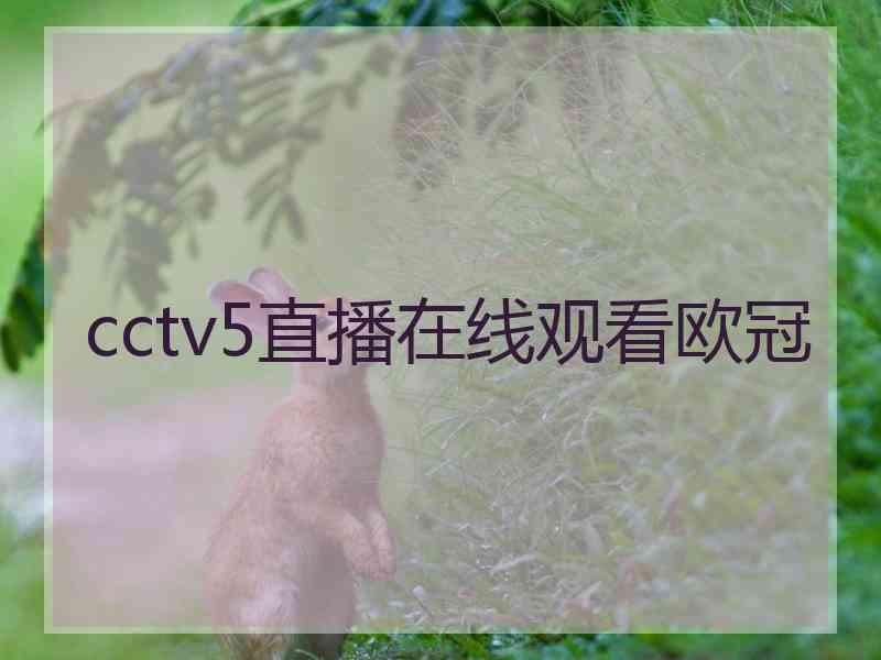 cctv5直播在线观看欧冠