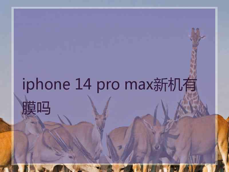 iphone 14 pro max新机有膜吗