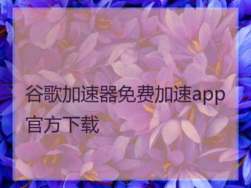 谷歌加速器免费加速app官方下载