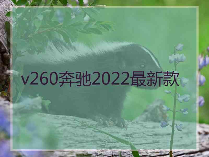 v260奔驰2022最新款