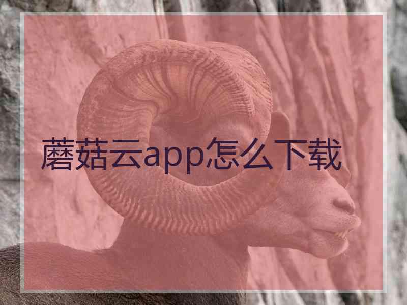 蘑菇云app怎么下载