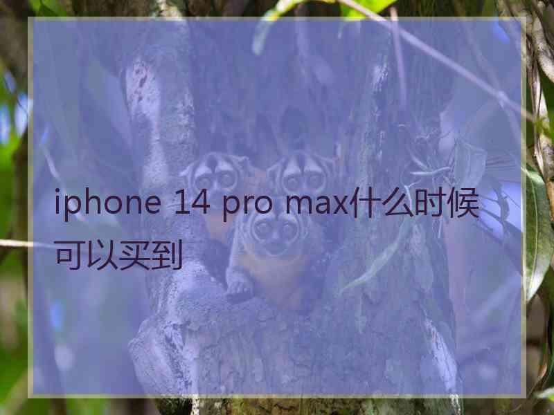 iphone 14 pro max什么时候可以买到