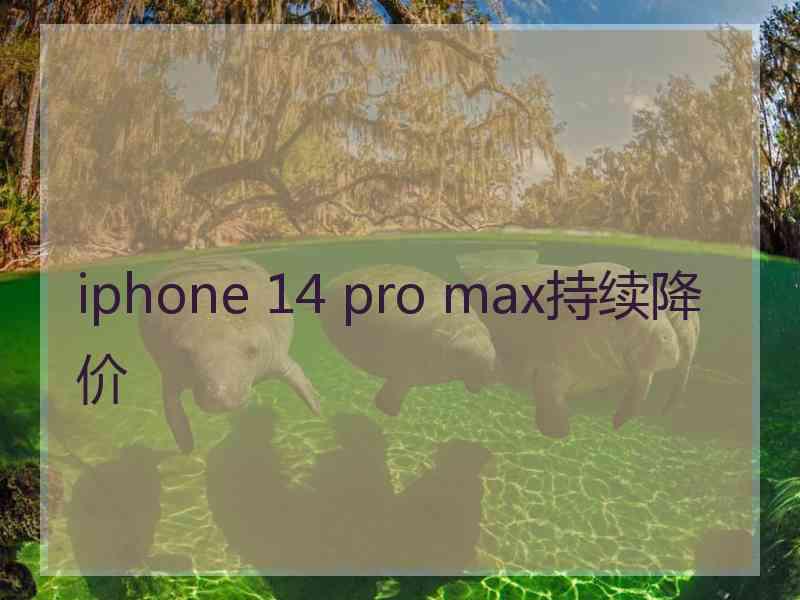 iphone 14 pro max持续降价