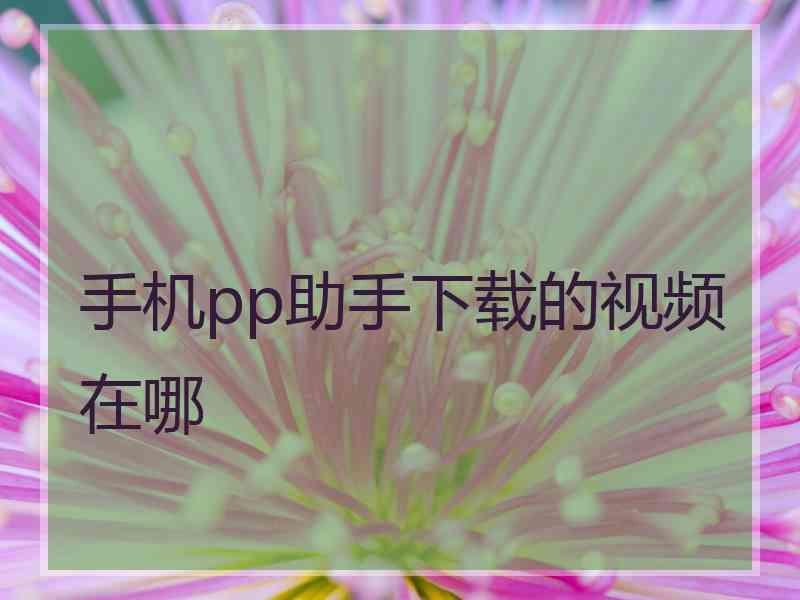 手机pp助手下载的视频在哪