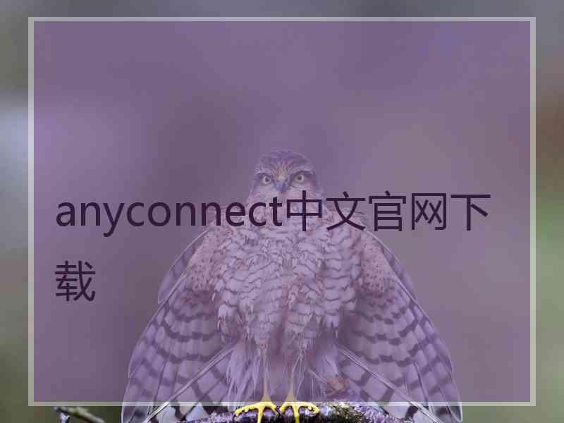 anyconnect中文官网下载