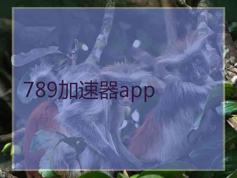 789加速器app