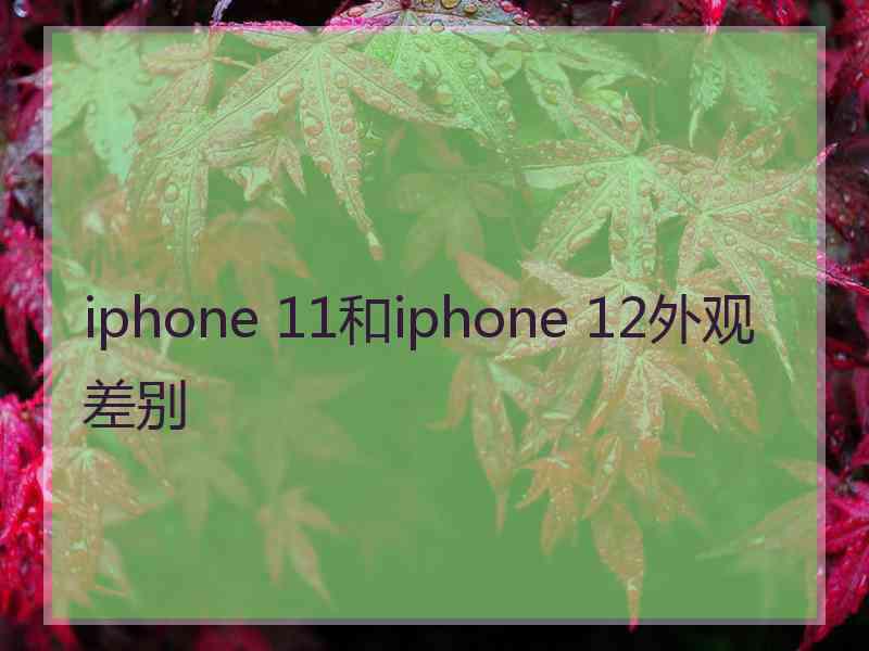 iphone 11和iphone 12外观差别