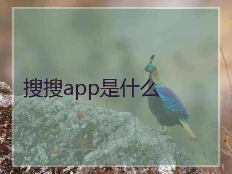 搜搜app是什么