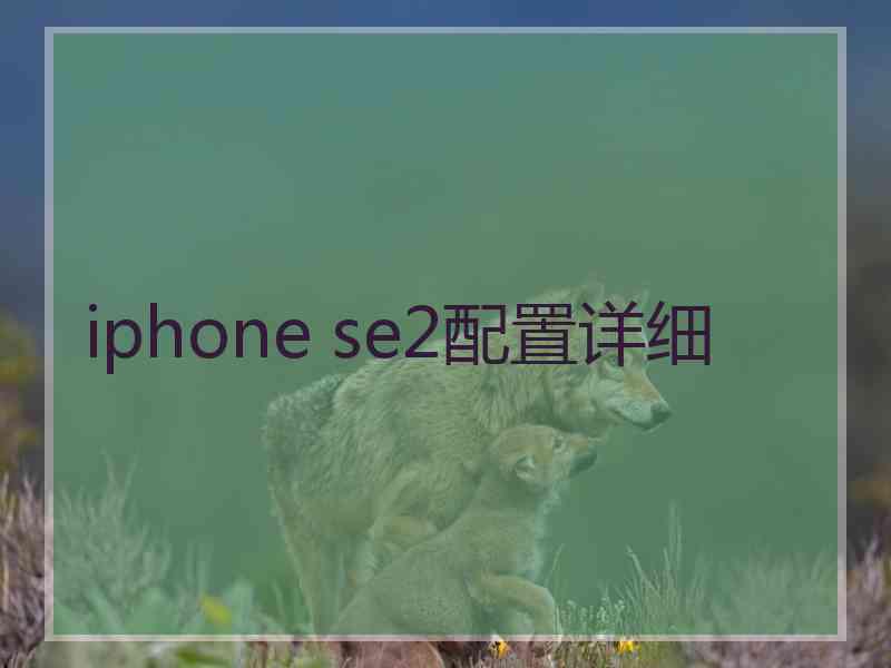 iphone se2配置详细