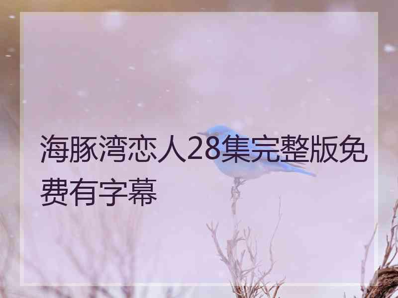 海豚湾恋人28集完整版免费有字幕