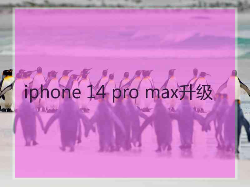 iphone 14 pro max升级