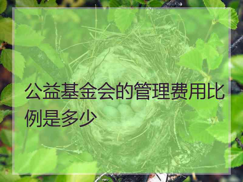 公益基金会的管理费用比例是多少