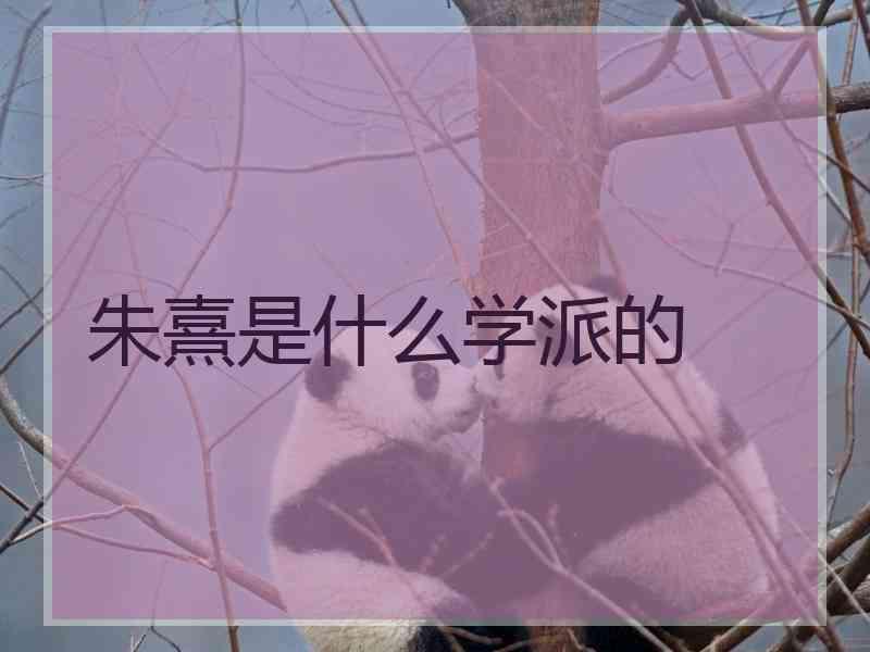 朱熹是什么学派的