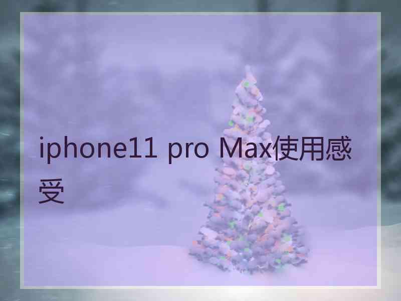 iphone11 pro Max使用感受