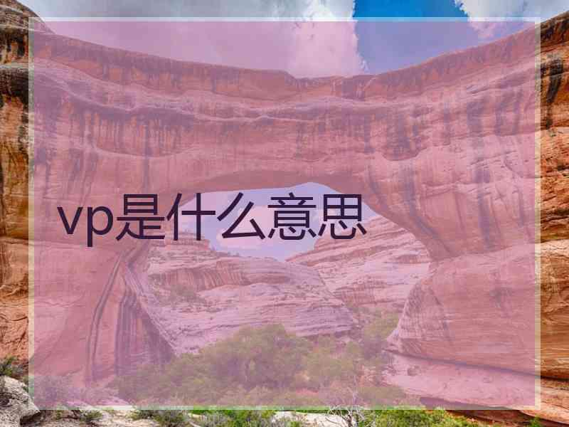 vp是什么意思