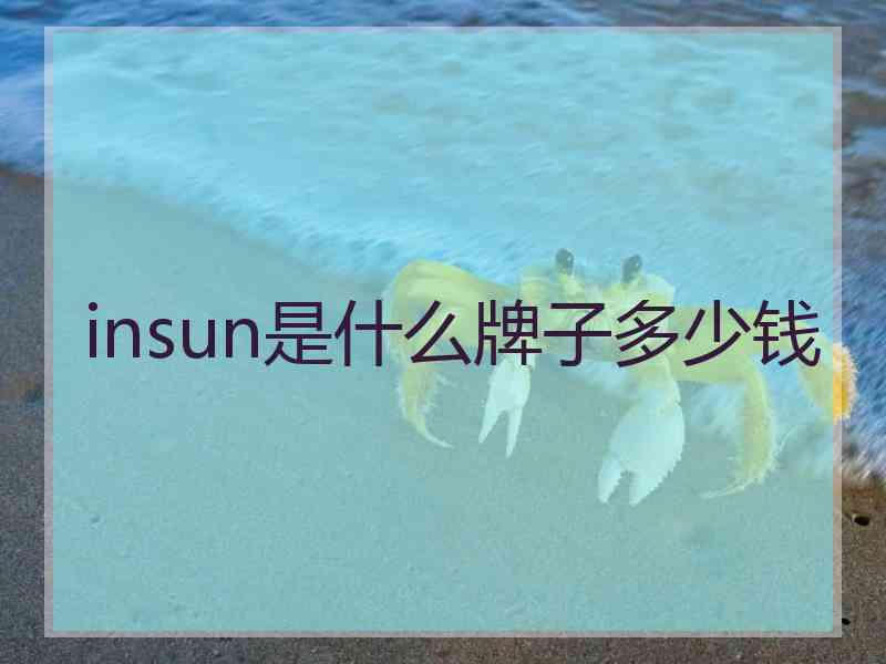 insun是什么牌子多少钱