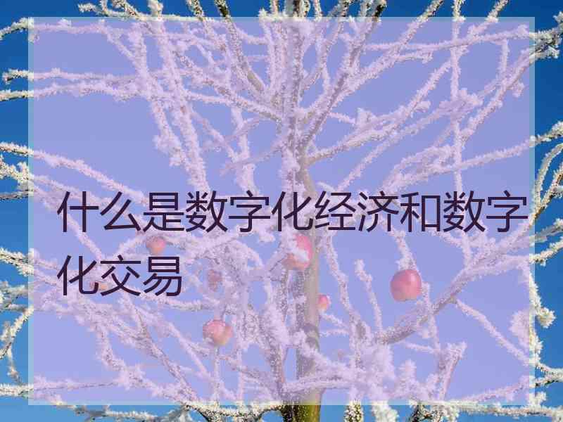 什么是数字化经济和数字化交易