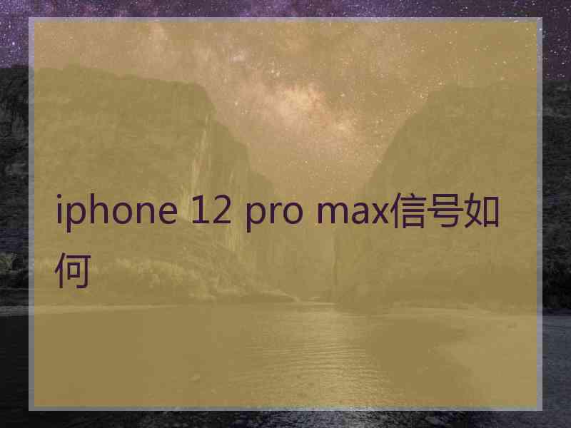 iphone 12 pro max信号如何