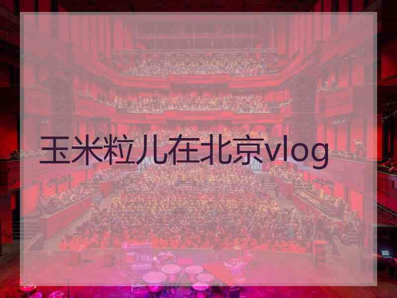 玉米粒儿在北京vlog