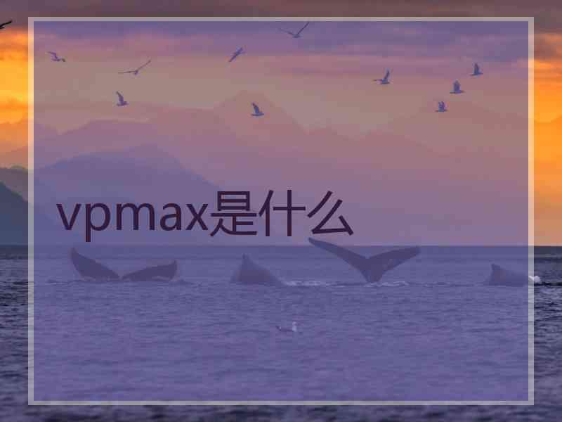 vpmax是什么