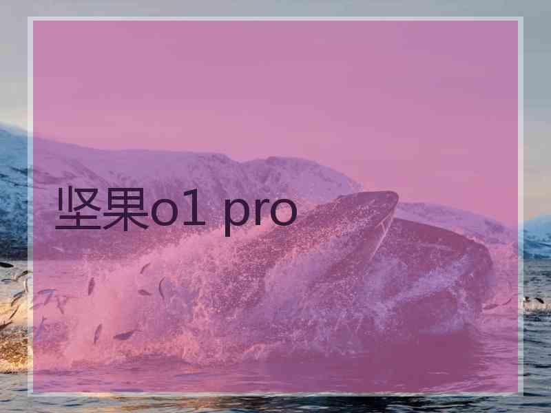 坚果o1 pro