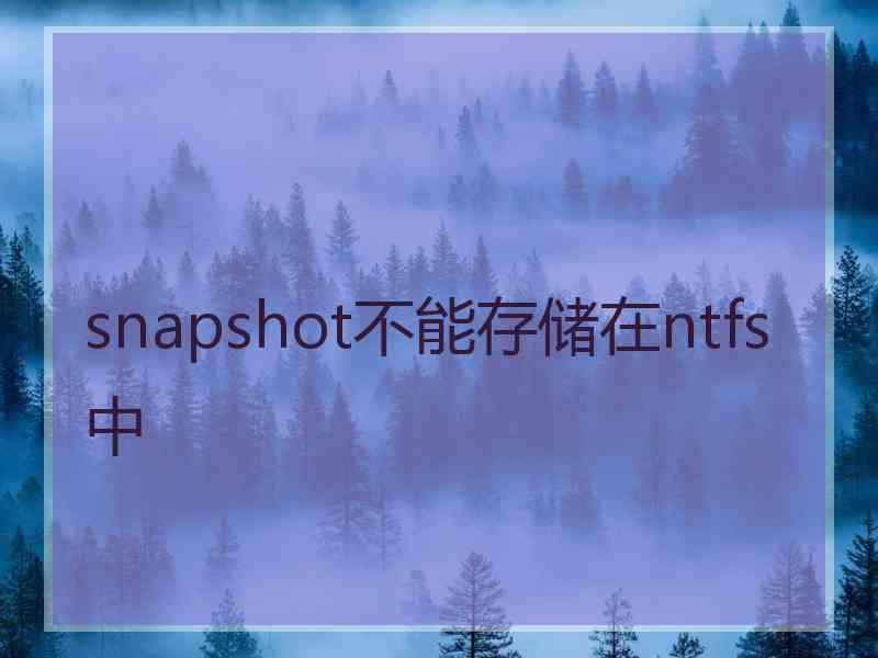 snapshot不能存储在ntfs中