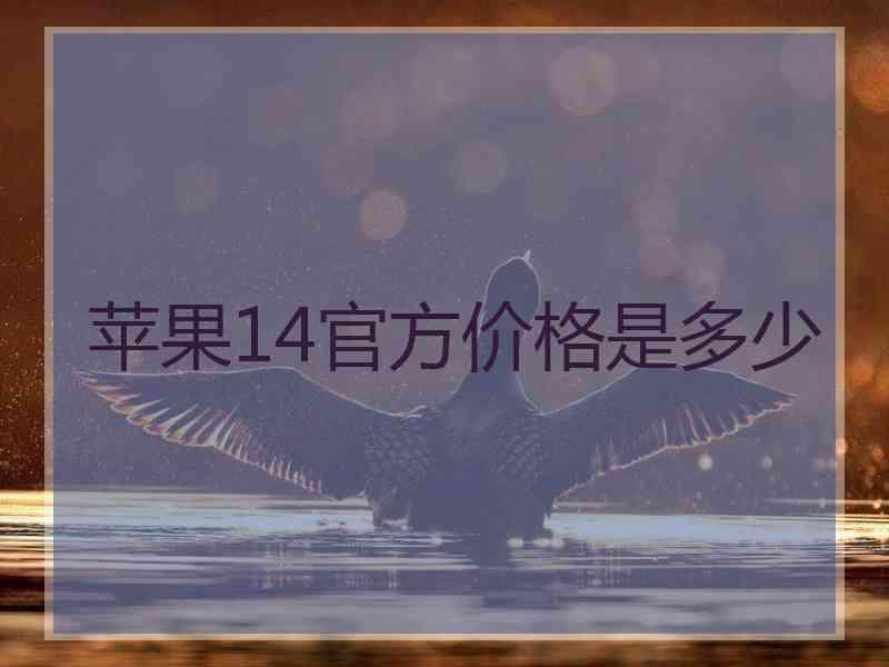 苹果14官方价格是多少