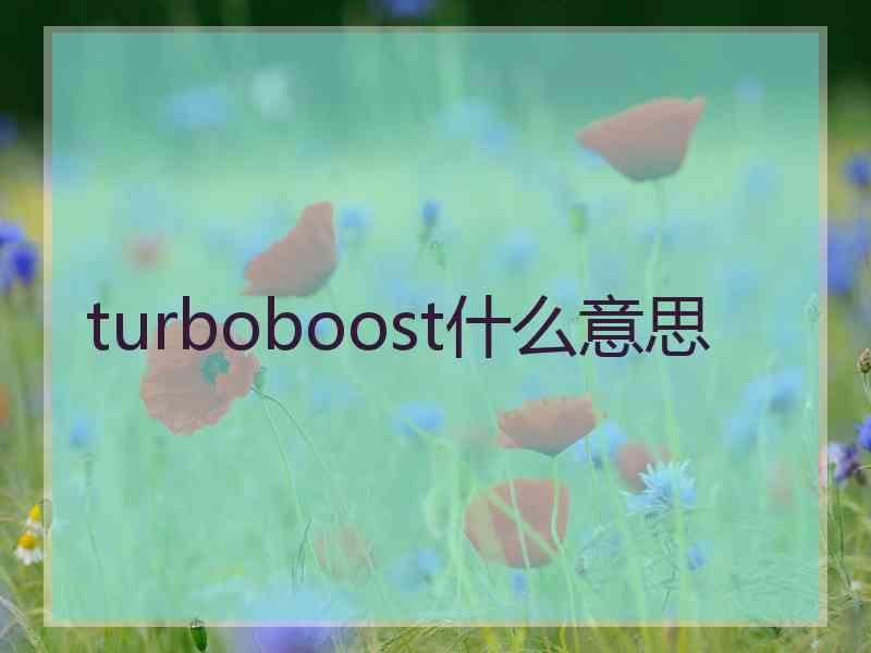 turboboost什么意思