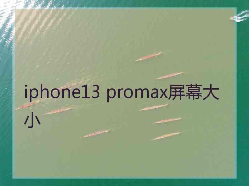 iphone13 promax屏幕大小