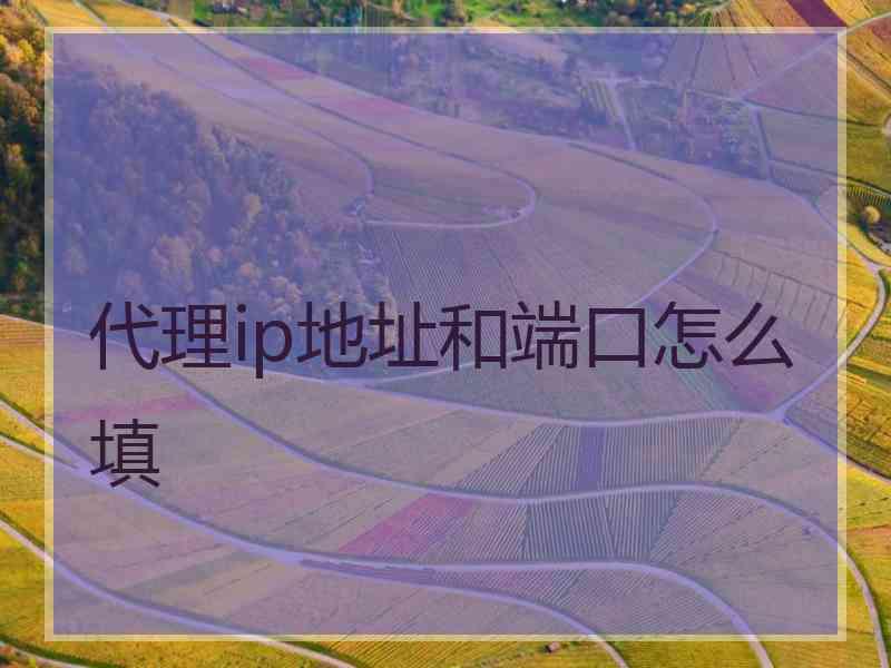 代理ip地址和端口怎么填