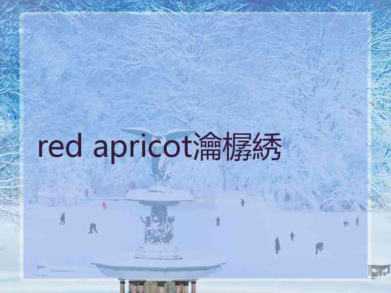 red apricot瀹樼綉