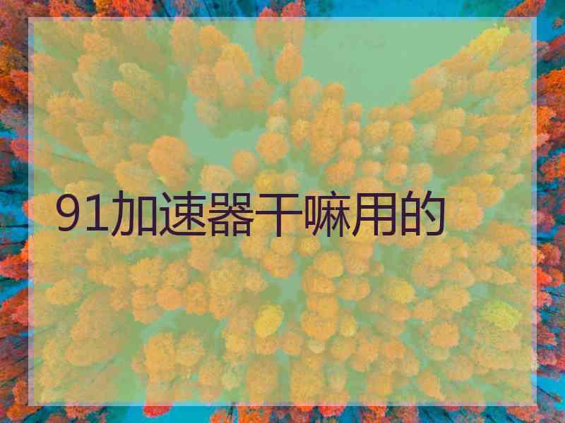 91加速器干嘛用的