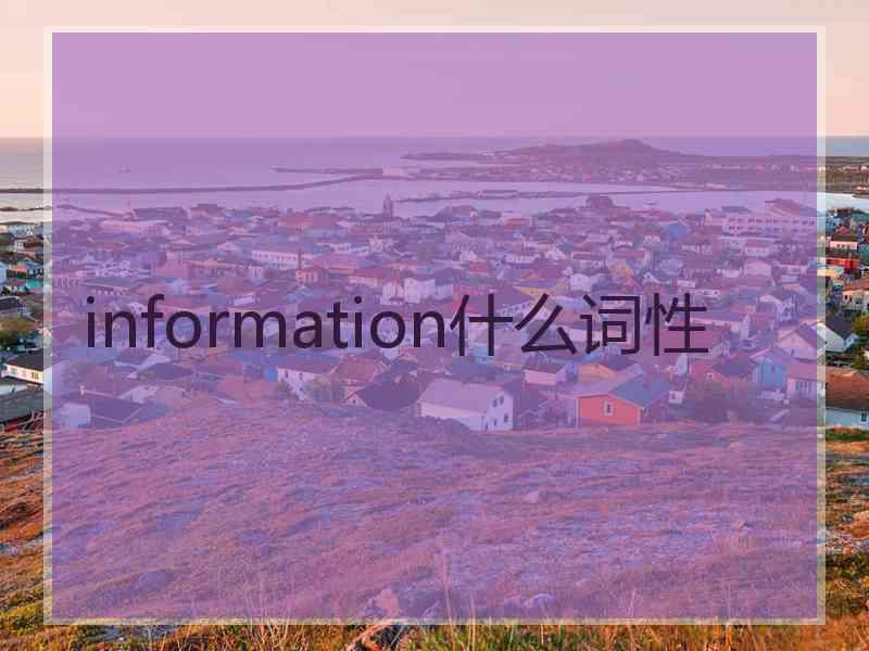 information什么词性