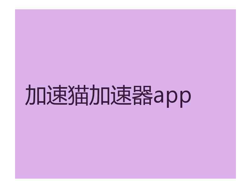 加速猫加速器app