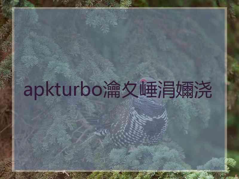 apkturbo瀹夊崜涓嬭浇